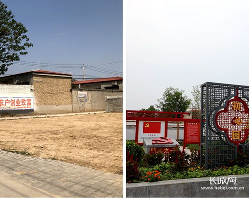 小屯村的美麗蛻變 垃圾不落地，農村更宜居