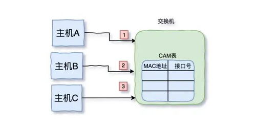 三天兩夜肝完這篇萬字長(zhǎng)文 面試再也不怕被問到TCP/IP了